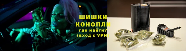 амф Арсеньев