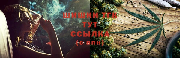 прущие крисы Аркадак
